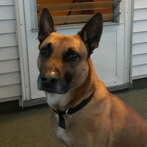 Meet your Posher, Barbara